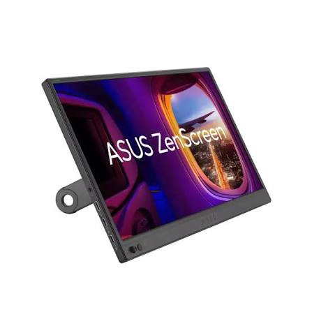 Portable monitor